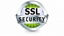  Wildcard SSL Certificates  1 